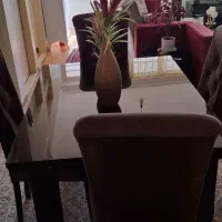 پول لازم|میز و صندلی غذاخوری|شاهینشهر, فردوسی|دیوار