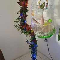 قفس پایه دار/دکوری/دست ساز/آنتیک/خاص پسند