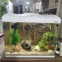 آکواریوم 66لیتر ماهیران mc600