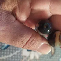 مهره برد قدیمی