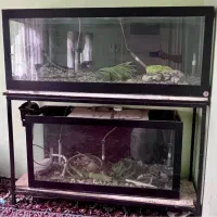 فروش آکواریوم با کلیه لوازم