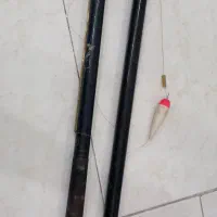 کاسی