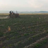 باسلام-خریدوفروش-املاک-وباغ-درحومه-ویلکیج-آبی-بگلو