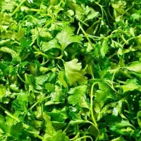 محصولات خانگی عمه لیلا