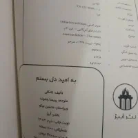 کتاب رمان به امید دل بستم|کتاب و مجله ادبی|دوگنبدان, |دیوار