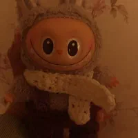 لبوبو|اسباب‌‌بازی|مشهد, کوشش|دیوار