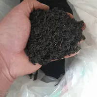 چای بهاره لاهیجان محصول ۱۴۰۴|عمده‌فروشی|بندر انزلی, لیچارگی حسن رود|دیوار