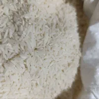 برنج گیلان
