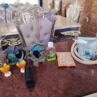 آکواریوم|ماهی|شیراز, فرگاز|دیوار