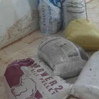 ۲۵ کیسه کود مرغی ارگانیک بدون آهک بدون|خدمات باغبانی و درختکاری|هادی شهر, |دیوار