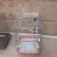 قفس|لوازم جانبی حیوانات|شیراز, پشم شیشه|دیوار