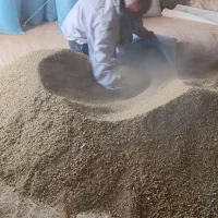 تخم یونجه|خدمات باغبانی و درختکاری|قم, آزادگان|دیوار