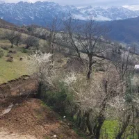 فروش ویلا ۳۰۰ متری با ویو کوه البرز ابدی|فروش خانه و ویلا|فریم, |دیوار