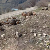 ۱۵۰متر بر جاده فقط یک میلیارد و دویست