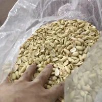 خلال بادام زمینی برای کره گیری|خوردنی و آشامیدنی|کیاشهر, |دیوار