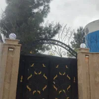 تولید شاخ گوزنی