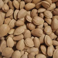 بادام درجه یک