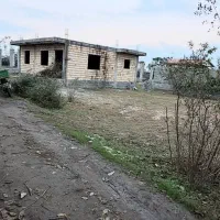 باغ کیوی|فروش زمین و ملک کلنگی|حویق, |دیوار