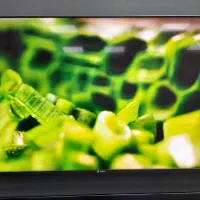 تلویزیون های اسنوا|تلویزیون و پروژکتور|جهرم, |دیوار