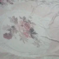 روفرشی ترک ۱۲متری دورکش