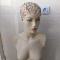 صندوق فروشگاهی/مانکن /نیم تنه پلاستیکی|فروشگاه و مغازه|شیراز, زرهی|دیوار