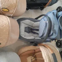 کریر و ساک|کالسکه و لوازم جانبی|بناب, |دیوار