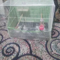 قفس پرنده|لوازم جانبی حیوانات|مشهد, کارگران|دیوار