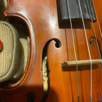ویولن اماتی ۲/۴