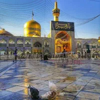 تور زیارتی مشهد مقدس قطار و اتوبوس|تور و چارتر|نسیم‌شهر, |دیوار