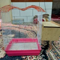 قفس پرنده عروس هلندی|لوازم جانبی حیوانات|اهواز, فاز ۵ پاداد|دیوار