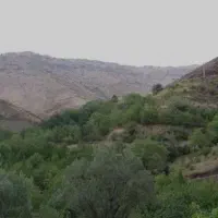 باغ .زمین .یک ساعت تا تهران