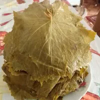 برگ مو ولواشک  آبغوره