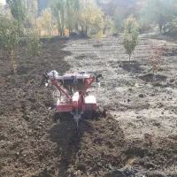 تیلر زنی انواع باغات|خدمات باغبانی و درختکاری|سنندج, |دیوار