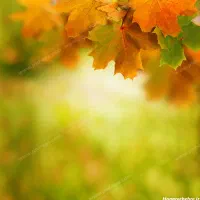 طراحی بنر،لوگو،کارت ویزیت