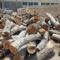 خرید فروش اسلب و چوب|عمدهفروشی|بردسیر, |دیوار