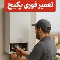 تعمیرات پکیج و برد با کمترین قیمت ۲۴ ساعته|خدمات پیشه و مهارت|سنندج, |دیوار