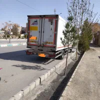 ایسوزوهشت تن پی هفتصد|خودرو سنگین|شیراز, گل سرخ|دیوار
