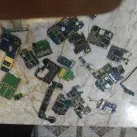 بردگوشی سوخته