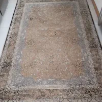 فرش|فرش|تهران, مقدم|دیوار