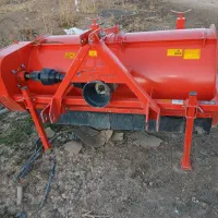 سرزن سیب زمینی