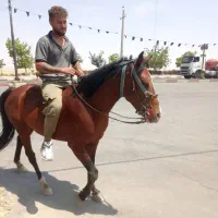 فروش اسب|اسب و تجهیزات اسب‌سواری|کرفتو, |دیوار