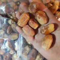 خرمای زاهدی