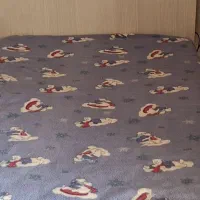 تخت خواب یکنفره باتشک