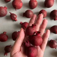 انار سفره یلدا