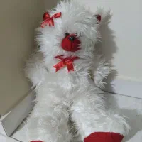 عروسک های سالم و تمیز