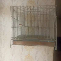 قفس پرنده سهره