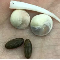 فال قهوه تاروت و ترکیبی و احساسی و...|خدمات پذیرایی، مراسم|ایلام, |دیوار