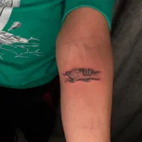 اجرای تخصصی تتو توسط آقا و خانوم|خدمات آرایشگری و زیبایی|بجنورد, |دیوار