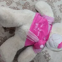 عروسک|اسباببازی بچه|قم, تولید دارو و یخچال|دیوار