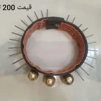 انواع قلاده میخی برای سگ های گله و نگهبان|لوازم جانبی حیوانات|تهران, آرژانتین|دیوار